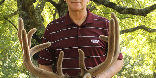 steve-demarais